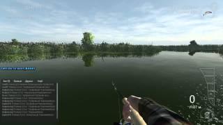 Fishing Planet - Эверглэйдс, Флорида, УНИКАЛЬНЫЙ Павлиний Басс