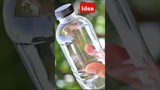 Plastic Bottle Recycling Ideas You'll Wish You'd Known Sooner.