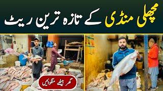 New Fish Market Lahore | Wholesale Fish Market | Machli Mandi Lahore | Fish Rates | Hamid Ch Vlogs