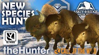 Hunt for NEW SPECIES Brings FIRST DIAMOND & 2 RARES in Askiy Ridge!!!  (Early Access)