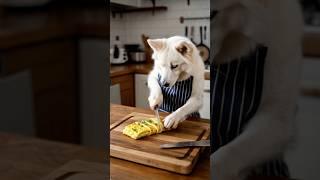 Quick Omelette Making!!