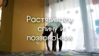 Растягиваем спину и позвоночник