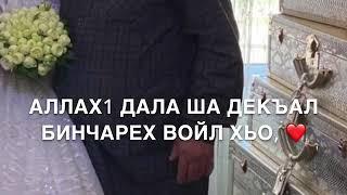 Озвучка для папы