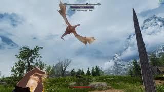 Skyrim the phoenix flavour dragons edition - first dragon battle