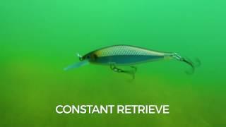 Swimming Action: Rapala Shadow Rap Shad Deep