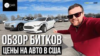 Обзор Битков на Аукционе | Цены на Авто в США | Честный Обзор | Доставка по всему Миру