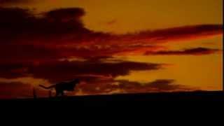 Sarah Brightman - Time to Say Goodbye (Video)