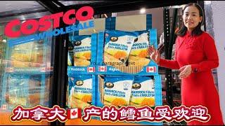 Costco本周特价商品介绍【3/3-3/9】｜打折必买的黑线鳕鱼｜方便小巧的电动牙刷清仓特价｜宝洁产品的满减活动买什么能省更多？