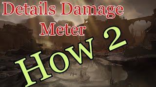 Details Damage Meter Setup Guide