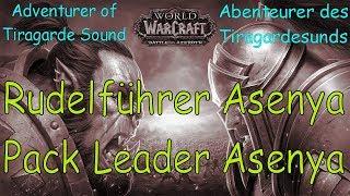 WoW - Rudelführer Asenya / Pack Leader Asenya - Abenteurer Tiragardesunds/Adventurer Tiragarde Sound