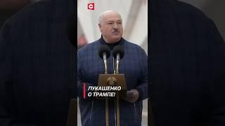 Лукашенко о Трампе! #беларусь #лукашенко #трамп #харрис #сша #спорт #политика #новости