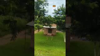 Hows is Africa  #trending #travel #viral #shorts #norway