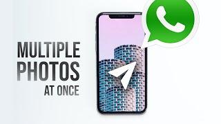 How to Send Multiple Photos on Whatsapp in iPhone (quick)