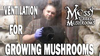 Best Ventilation for Growing Mushrooms for Profit with Mossy Creek Mushrooms!