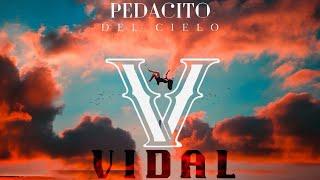 “PEDACITO DEL CIELO” by VIDAL