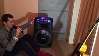 Мощная колонка 150W независимая (с аккумулятором) для улицы, выездов на природу. 15" динамик