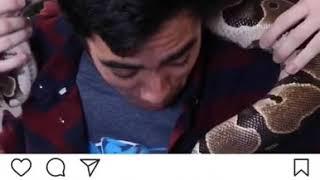 Zach King || Snake