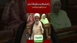 Allama Raja Nasir Abbas Fiery Emotional Senate Speech Sparks Debate #AllamaRajaNasirAbbas