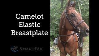 Camelot Elastic Breastplate Review