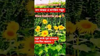Beautiful Quran recitation 2025 ️ কুরআন তিলাওয়াত। Heart touching Quran . Fatima tunes vision