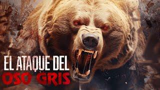 El Ataque del Oso Gris PELÍCULA COMPLETA | Películas de Monstruos Gigantes | LA Noche de Películas