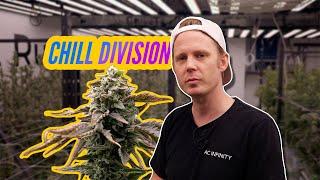 Fresh lighting @ Pause labs, feat. ChillDivision | Herbal House NZ