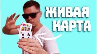 Простенький фокус с картами "Живая Карта" // Обучение фокусу с картами