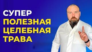 Супер полезная целебная трава.