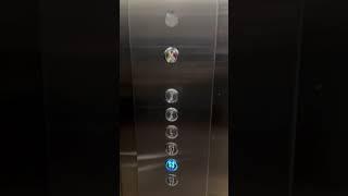 FUJI Elevator @ Tikal Futura, Guatemala City #elevator #fuji #lift