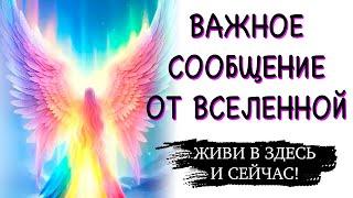 СТОЙ, БОЛЬШЕ НЕ БЕГИТЕ - Божественные Послания Архангел Михаил