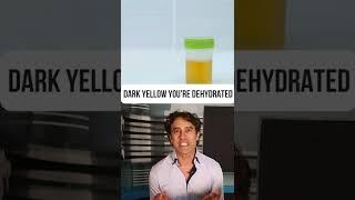 HYALURONIC ACID and YOUR PEE!! #shorts
