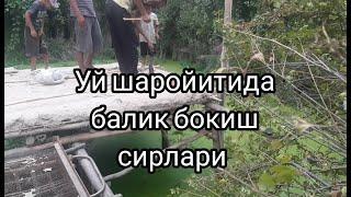 УЙ ШАРОЙИТИДА БАЛИК БОКИШ СИРЛАРИ ИЛОН БАЛИК УШЛАДИК