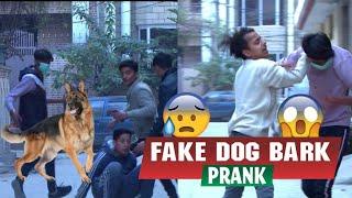 Fake Dog Prank / Part [ 1 ] / Prank in Pakistan / BY faizan Shah