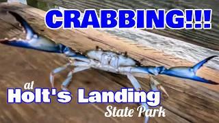 Visit Scenic Holt's Landing State Park