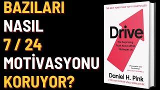 Kitap Özeti: DRIVE (Motivasyonun Şaşırtıcı Sırları)