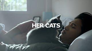 IKEA - HER CATS - Now, There’s Choice (EN)