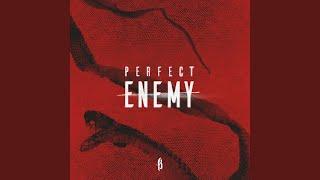 Perfect Enemy