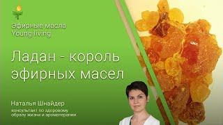 Эфирные масла YOUNG lIVING(Янг Ливинг) ладан - король эфирных масел