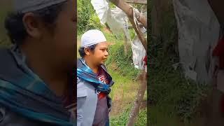 Hj goni