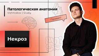 Патологическая анатомия | НЕКРОЗ