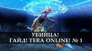 Гайд по классу Убийца. TERA Online 2018 часть 1