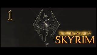 Let's Play Skyrim 1 - Sassyrogue the Wood Elf!