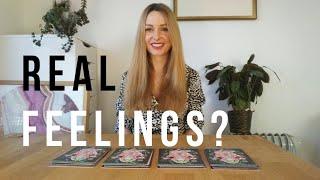 How does he/she feel about me? PICK A CARD Tarot Reading