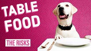 Is It Safe to Feed Table Food to Your Dog?