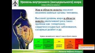 Wellness TEST (ранняя версия)