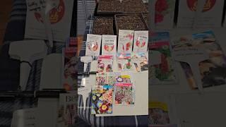 January Flower Garden Prep #gardening #spring #springflowers #flowers #landscape #garden