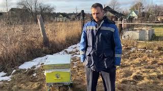 Зимовка пчёл 2020, еврозима - снега нет, но вы держитесь