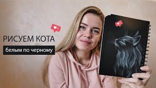 Как нарисовать пушистого кота белым карандашом на черной бумаге