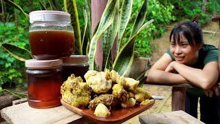 6 Days HARVEST HONEY, Papaya, Bamboo Shoots and GARDENING | Ana Bushcraft