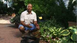 Low Maintenance Landscaping Ideas
